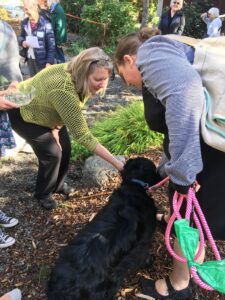 image of a clergy person bending over a black dog giving a blessing, with another woman holding the dog.